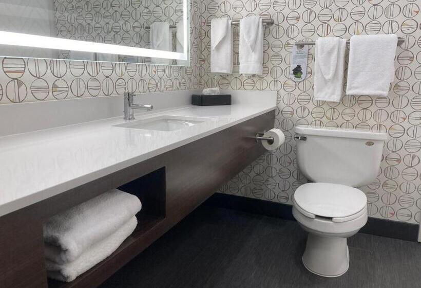 Номер Стандарт Кровать Кинг Адаптированный для Инвалидов, Holiday Inn Niagara Falls State Park Entry, An Ihg