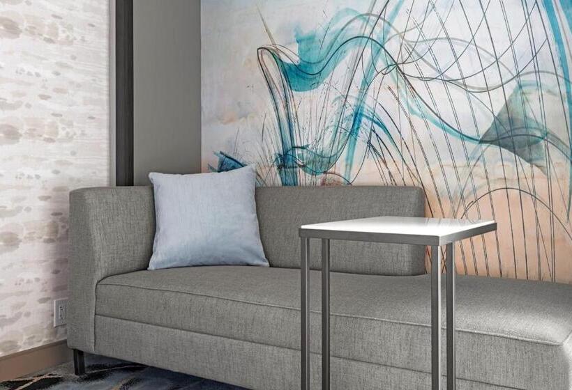 חדר סטנדרט מותאם לאדם עם מוגבלויות, Marriott San Antonio Airport