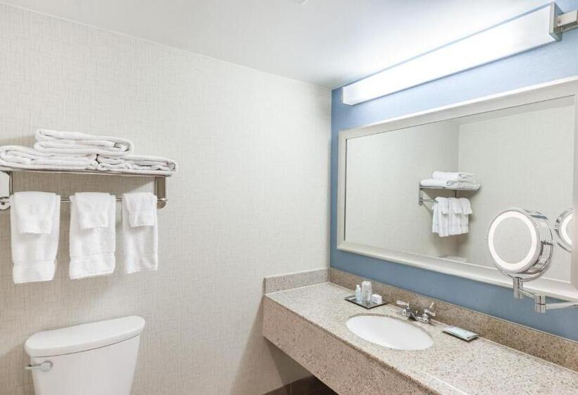 Стандартный Номер Кровать Кинг, Courtyard By Marriott Pittsburgh University Center