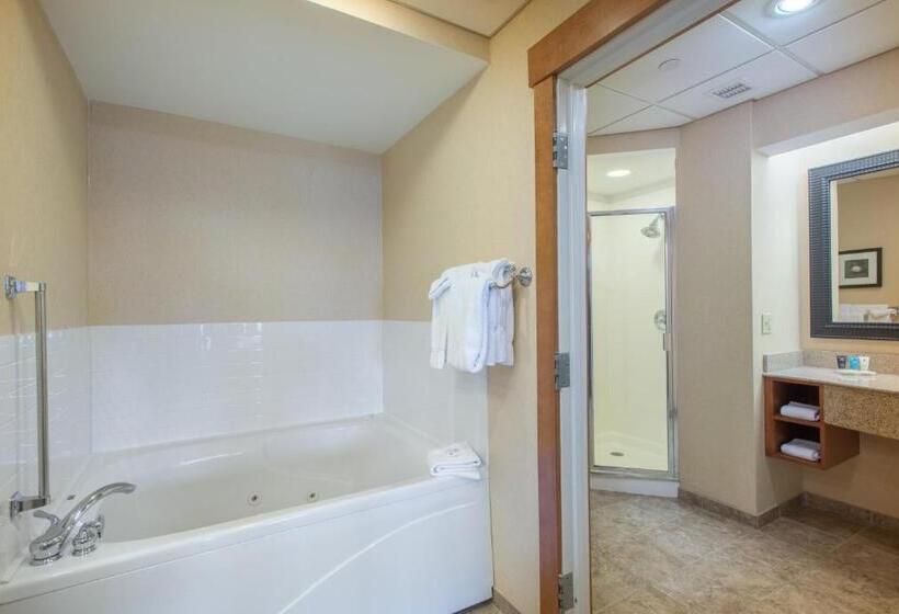 Люкс Deluxe Кровать Кинг, Crowne Plaza Lake Placid, An Ihg