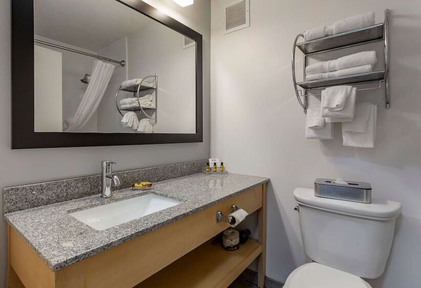 Номер Стандарт 2 Двуспальные Кровати, Best Western Plus University Inn