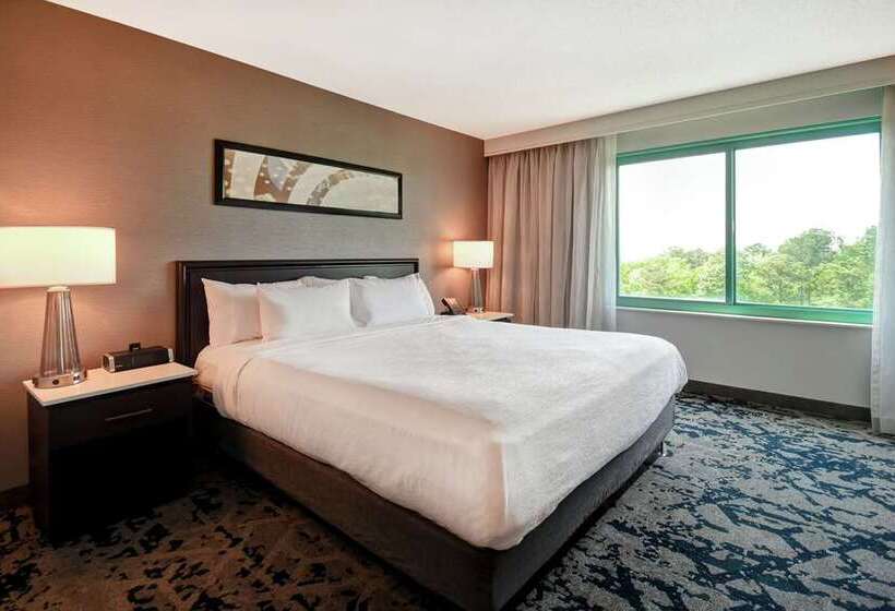 스위트 킹사이즈 침대, Doubletree By Hilton Chico