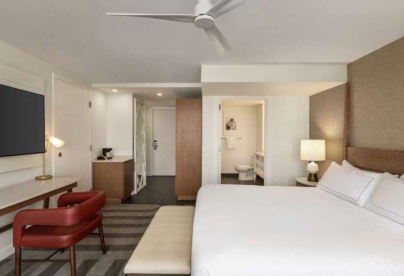 Стандартный Номер Кровать Кинг, Hilton Cabana Miami Beach Resort