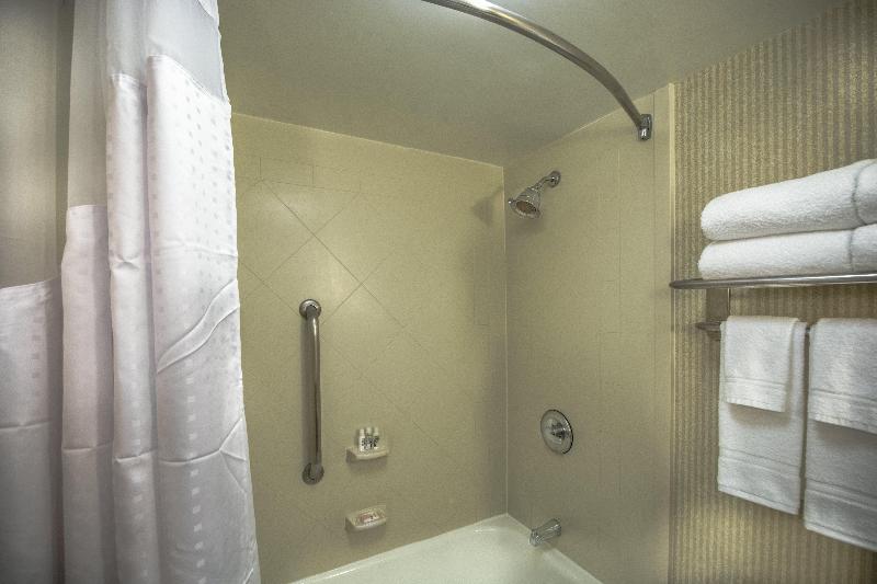 이그제큐티브 룸 킹사이즈 침대, Holiday Inn Arlington At Ballston, An Ihg
