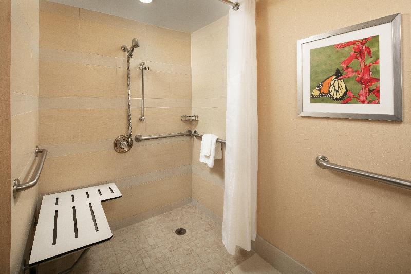 Номер Стандарт Адаптированный для Инвалидов, Holiday Inn Austin  Town Lake, An Ihg