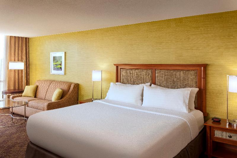 Стандартный Номер Кровать Кинг, Holiday Inn Austin  Town Lake, An Ihg