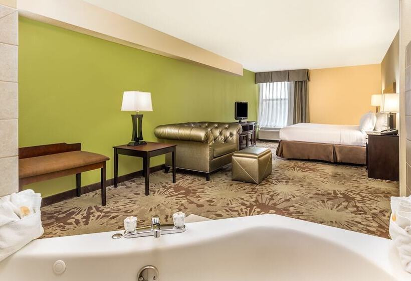 스위트, Holiday Inn Chicago North   Gurnee, An Ihg