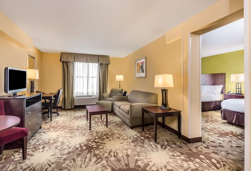 스위트, Holiday Inn Chicago North   Gurnee, An Ihg