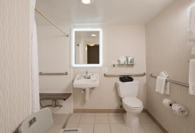 اتاق استاندارد با تخت بزرگ برای معلولان, Holiday Inn Washington Central/white House, An Ihg