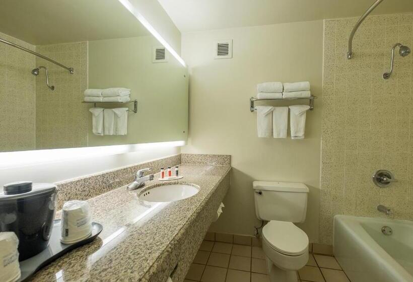 Стандартный Номер Кровать Кинг, Howard Johnson By Wyndham Fullerton/anaheim Conference Cntr
