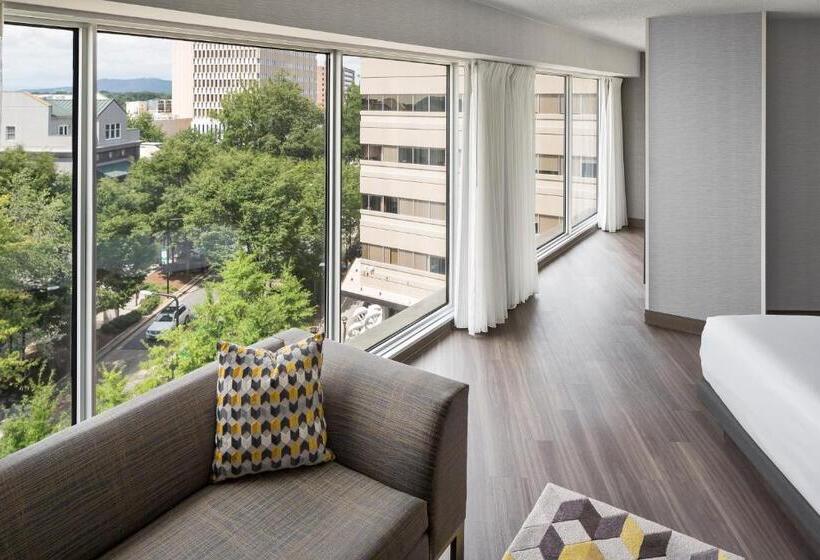 스탠다드 룸 킹사이즈 침대, Hyatt Regency Greenville