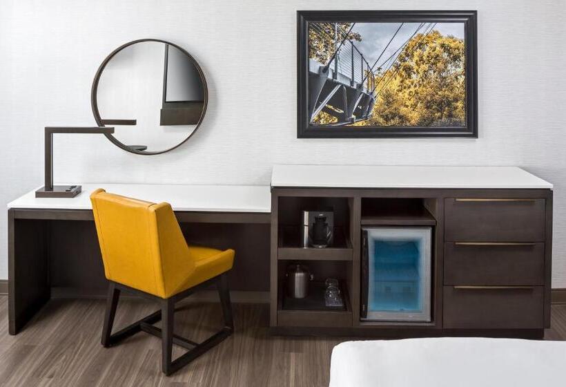 장애인을 위한 킹사이즈 침대 스탠다드 룸, Hyatt Regency Greenville