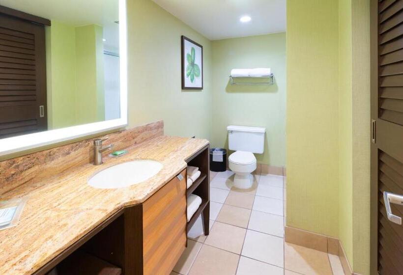 Номер Клуб, Holiday Inn San Jose Silicon Valley, An Ihg