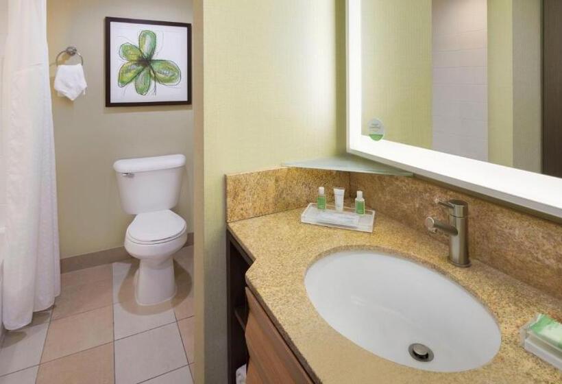 Номер Стандарт Адаптированный для Инвалидов, Holiday Inn San Jose Silicon Valley, An Ihg