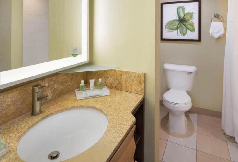 Люкс Кровать Кинг, Holiday Inn San Jose Silicon Valley, An Ihg