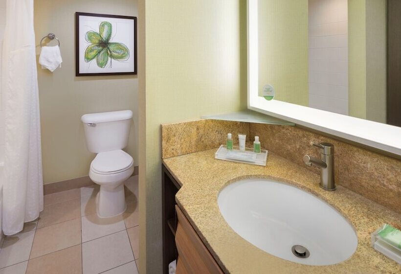 Номер Стандарт 2 Двуспальные Кровати, Holiday Inn San Jose Silicon Valley, An Ihg