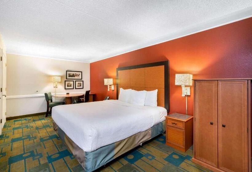 Номер Стандарт Кровать Кинг Адаптированный для Инвалидов, La Quinta Inn By Wyndham Phoenix Sky Harbor Airport