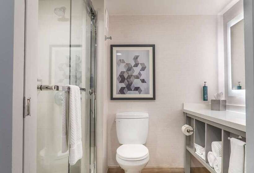 Стандартный Номер Кровать Кинг, Doubletree By Hilton Canton Downtown
