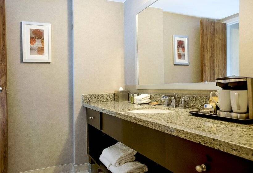 Номер Стандарт, Doubletree By Hilton Springfield