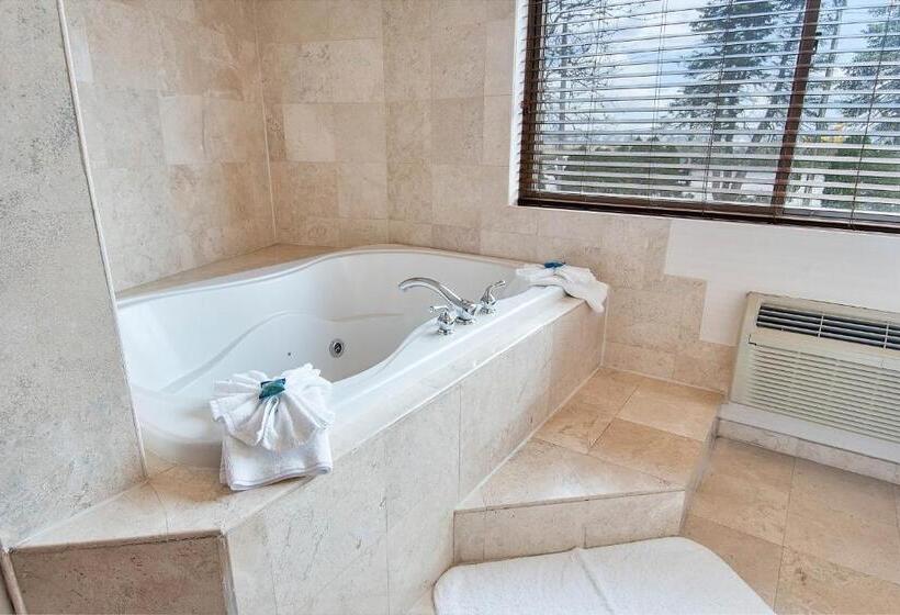 Люкс Кровать Кинг, Four Points By Sheraton Melville Long Island