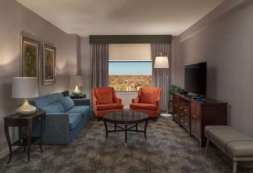 Номер Стандарт, Hilton Lexington/downtown