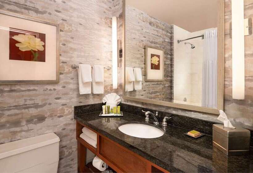 Номер Стандарт, Hilton Lexington/downtown