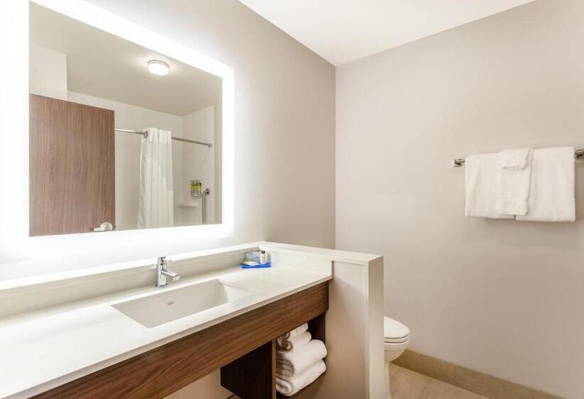 带大床的套房, Holiday Inn Express & Suites   Springfield North, An Ihg