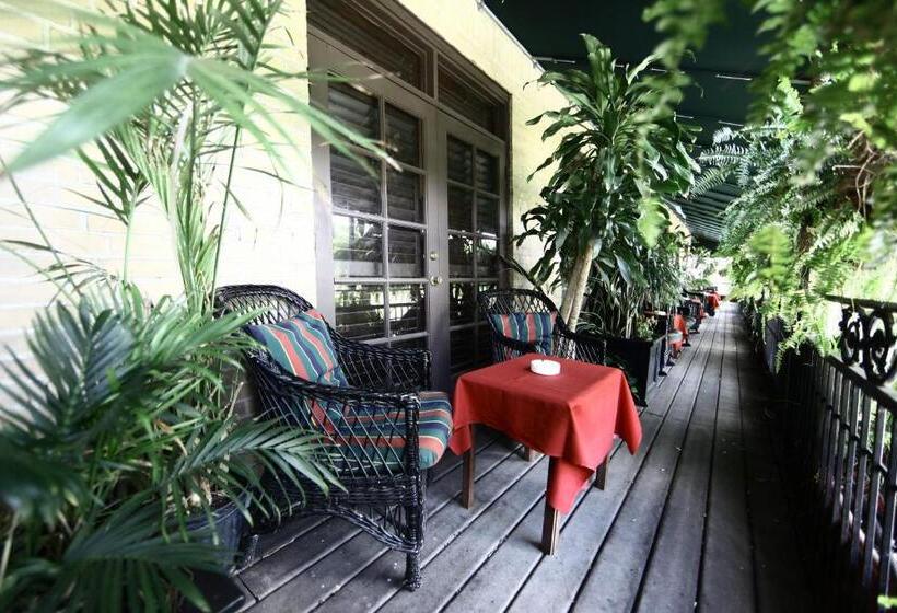 اتاق استاندارد با تخت بزرگ, Park Plaza Hotel Orlando   Winter Park