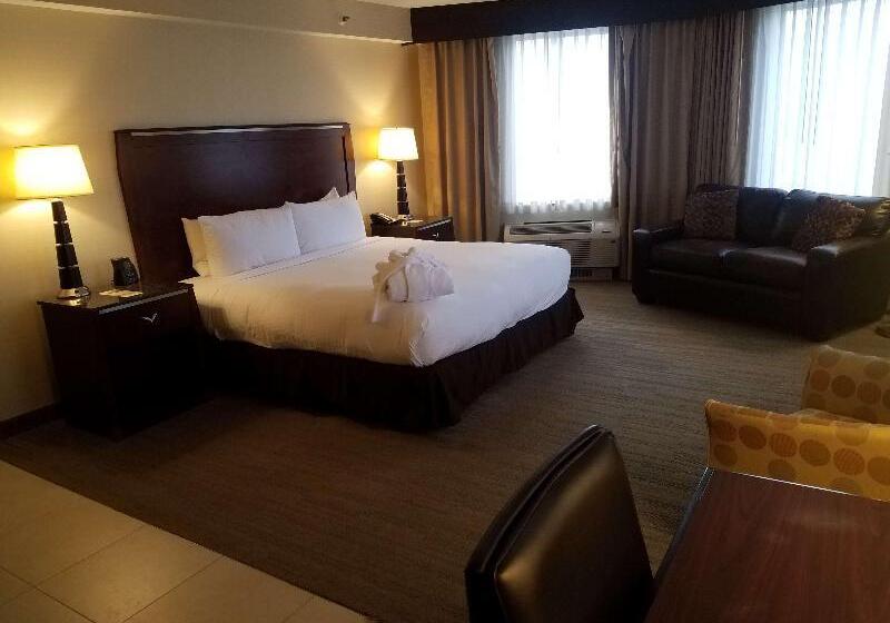 스탠다드 룸 킹사이즈 침대, Doubletree By Hilton Denver Thornton