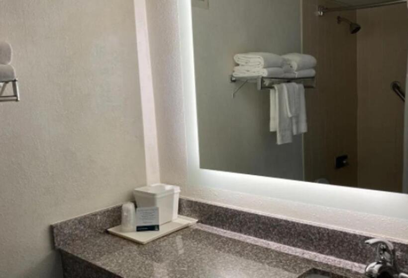 스탠다드 룸 더블 침대 2개, Quality Inn & Conference Center