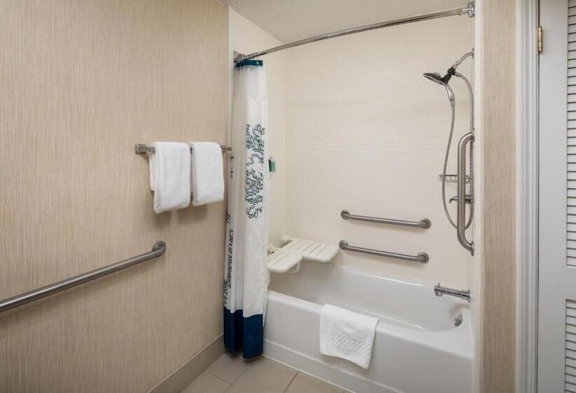 Студия Стандарт, Residence Inn Binghamton