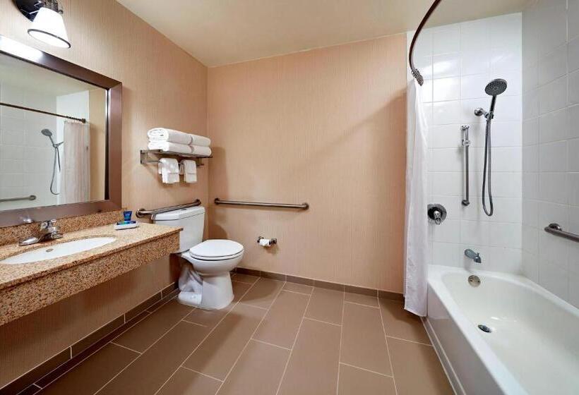 스탠다드 룸 킹사이즈 침대, Four Points By Sheraton Pleasanton
