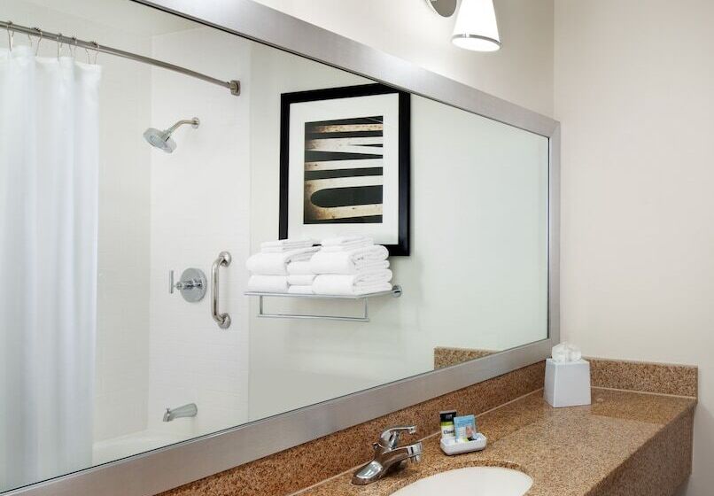 디럭스 인테리어 룸, Four Points By Sheraton Pleasanton