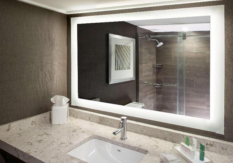 Номер Deluxe, Hilton Tampa Airport Westshore