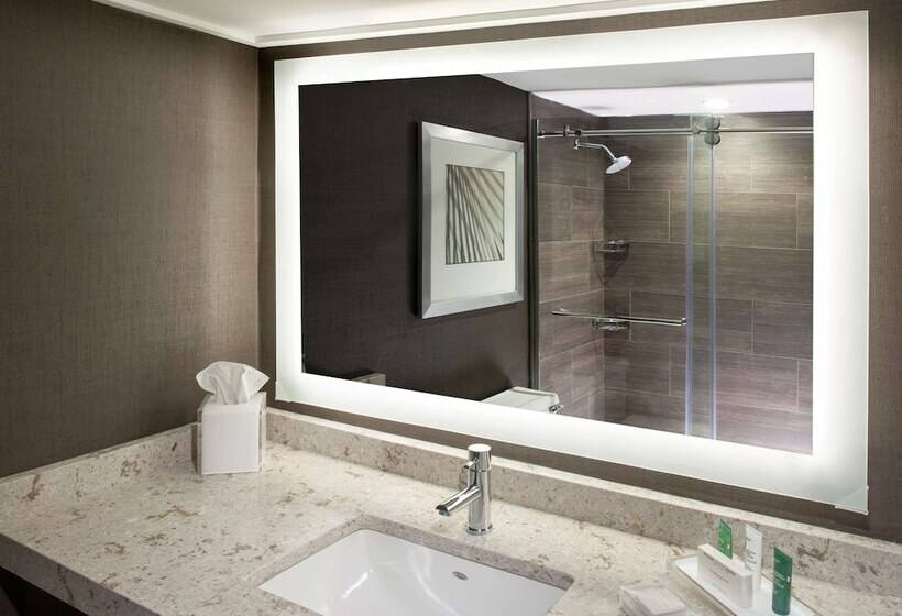Номер Стандарт 2 Двуспальные Кровати, Hilton Tampa Airport Westshore
