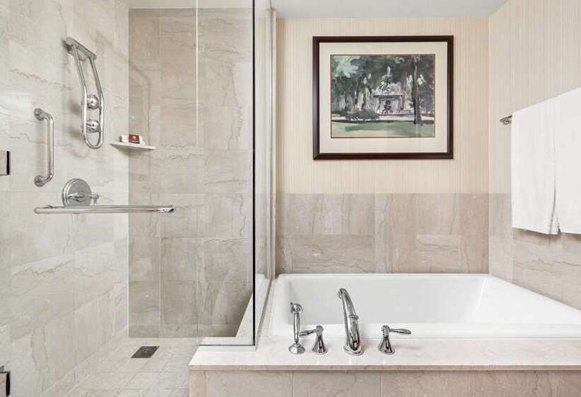 Номер Deluxe, Hilton Tampa Airport Westshore
