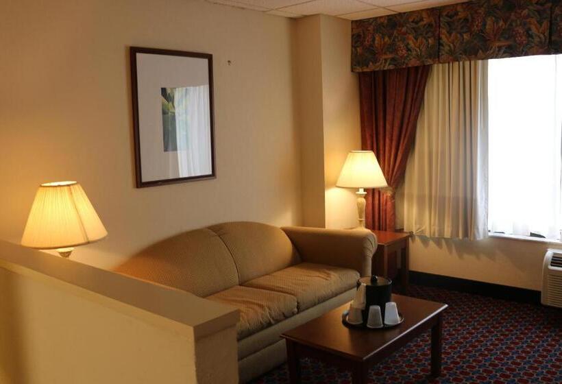 Стандартный Номер Кровать Кинг, Imperial Swan Hotel And Suites Lakeland