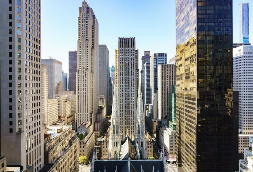带2个双人床的标准工作室, Lotte New York Palace