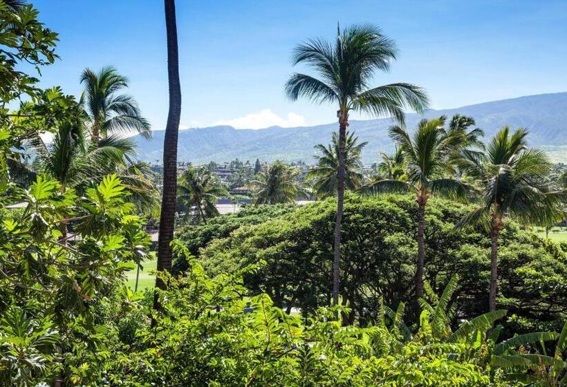 스탠다드 룸, Sheraton Maui Resort & Spa