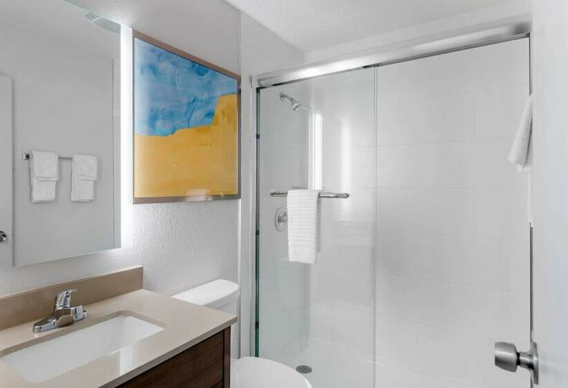 스탠다드 룸 더블 침대 2개, Comfort Inn Detroit  Troy