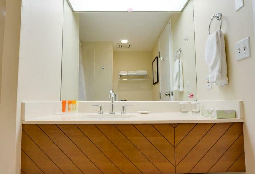 스탠다드 룸, Oasis Hotel Waikiki