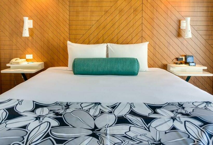 سوییت جونیور, Oasis Hotel Waikiki