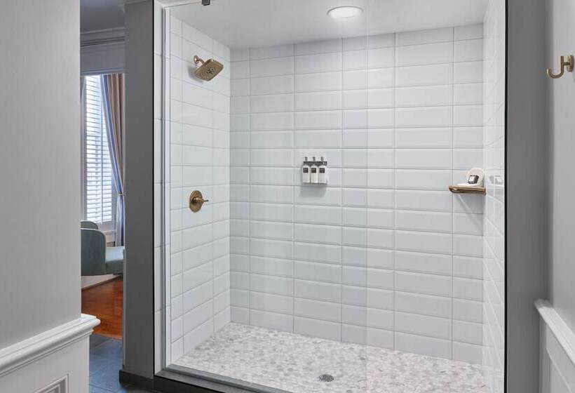 Junior Suite, The Tremont House, Galveston, A Tribute Portfolio