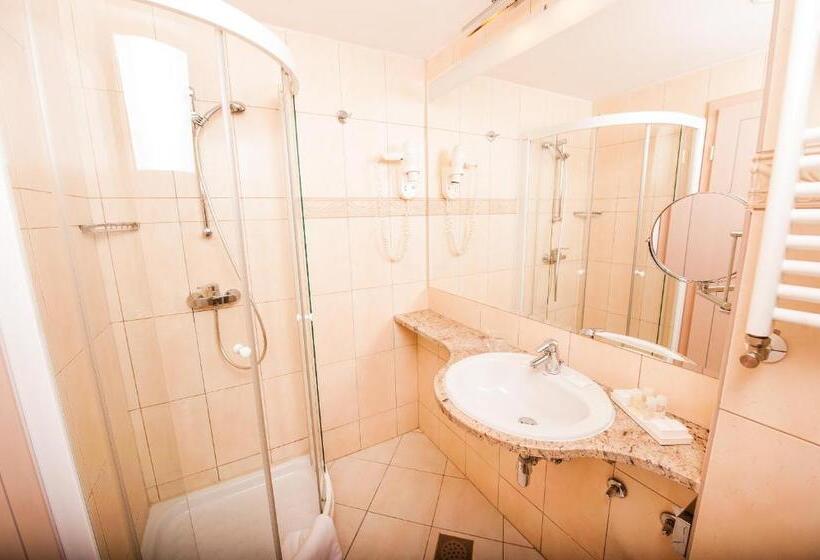 اتاق سوپریور یک تخته, Grand Hotel Sava Superior