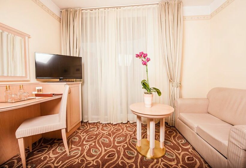 اتاق سوپریور یک تخته, Grand Hotel Sava Superior