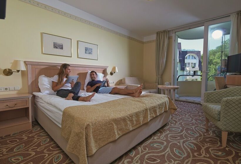 اتاق سوپریور, Grand Hotel Sava Superior