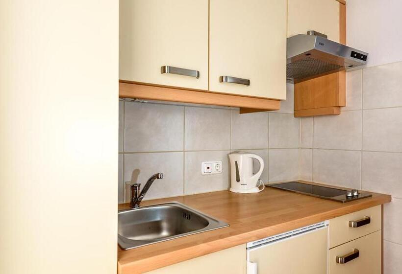 Апартаменты 1 Спальня, Aparthotel Kleinwalsertal