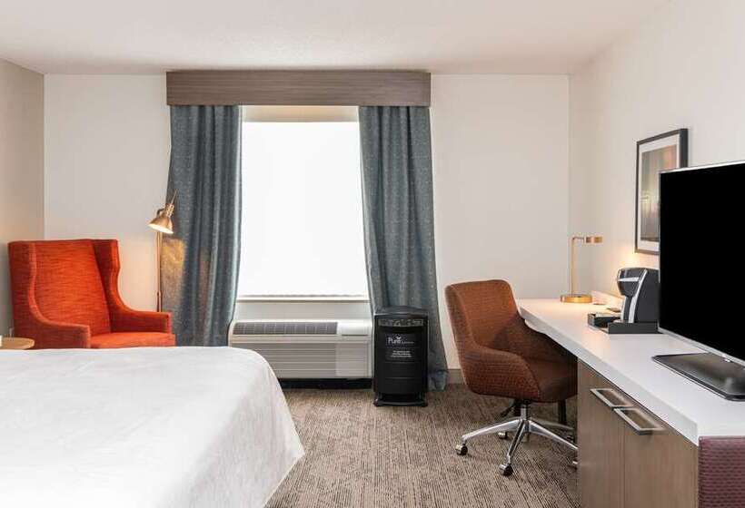 اتاق استاندارد با تخت بزرگ, Hilton Orlando Lake Buena Vista   Disney Springs® Area