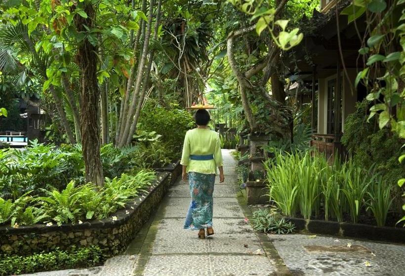 Номер Стандарт, Puri Bambu