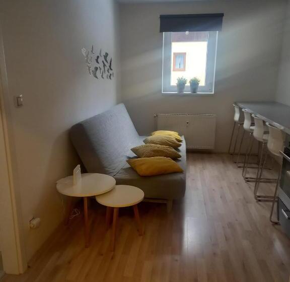 Апартаменты 1 Спальня, Apartmány Za Sněžníkem